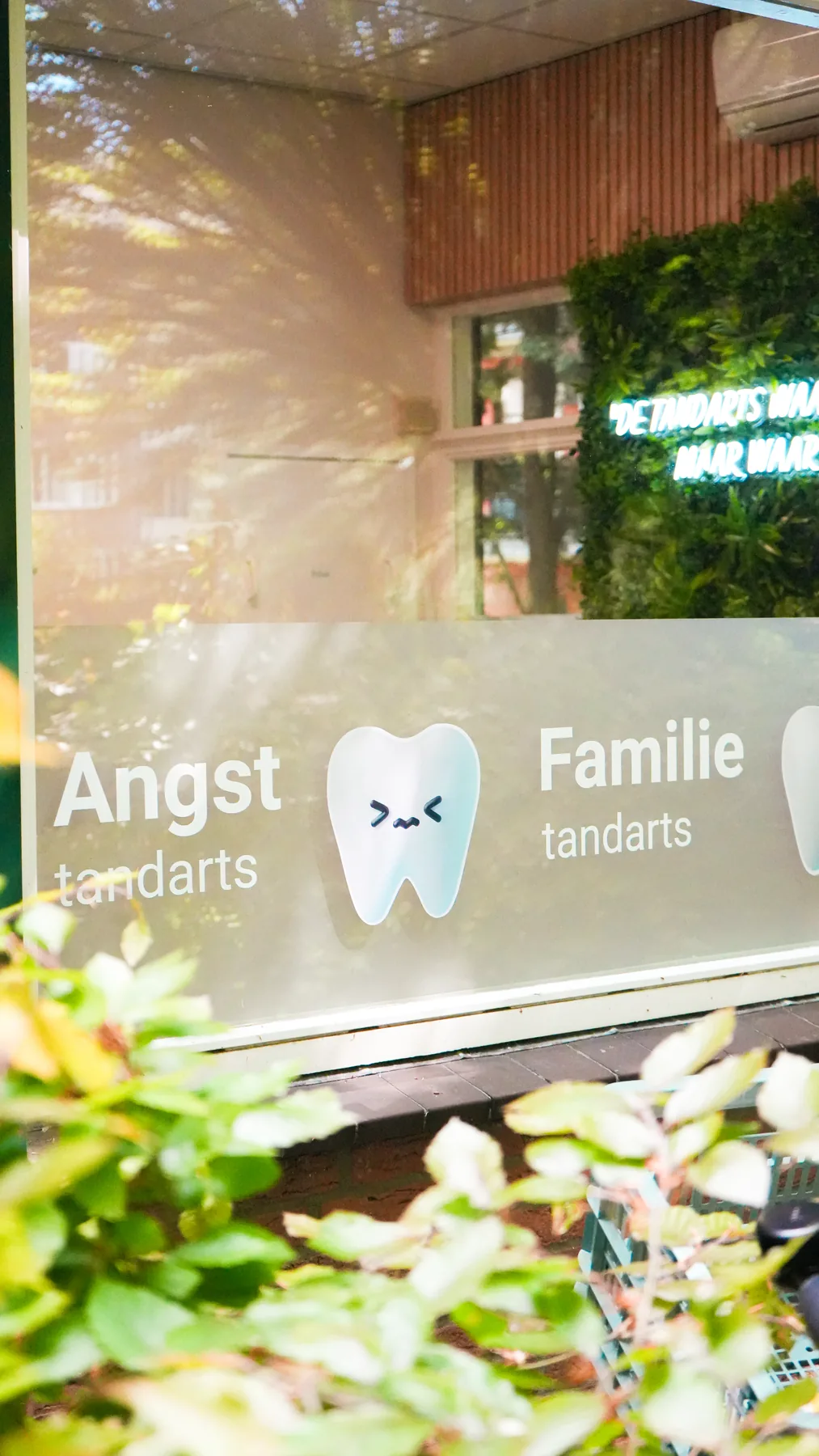 Raamstickers 'Angst tandarts' en 'Familie tandarts' achter groen in de zon.